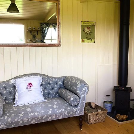 Lilly'S Pad Otel Bude Dış mekan fotoğraf