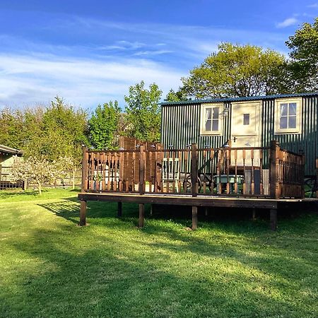 Lilly'S Pad Otel Bude Dış mekan fotoğraf